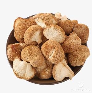 Продукты питания 19566_f_483_prodazha-lechebnyh-gribov-shiitake-chaga-muhomor-krasnyi-ezhovik-grebenchatyi-i-dr.jpg